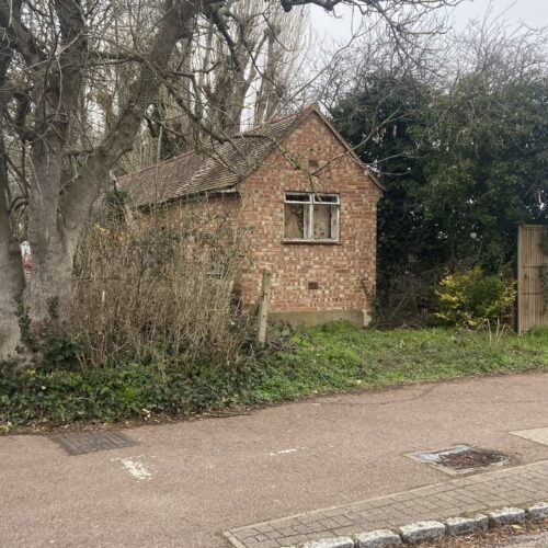 Willow Lane-4
